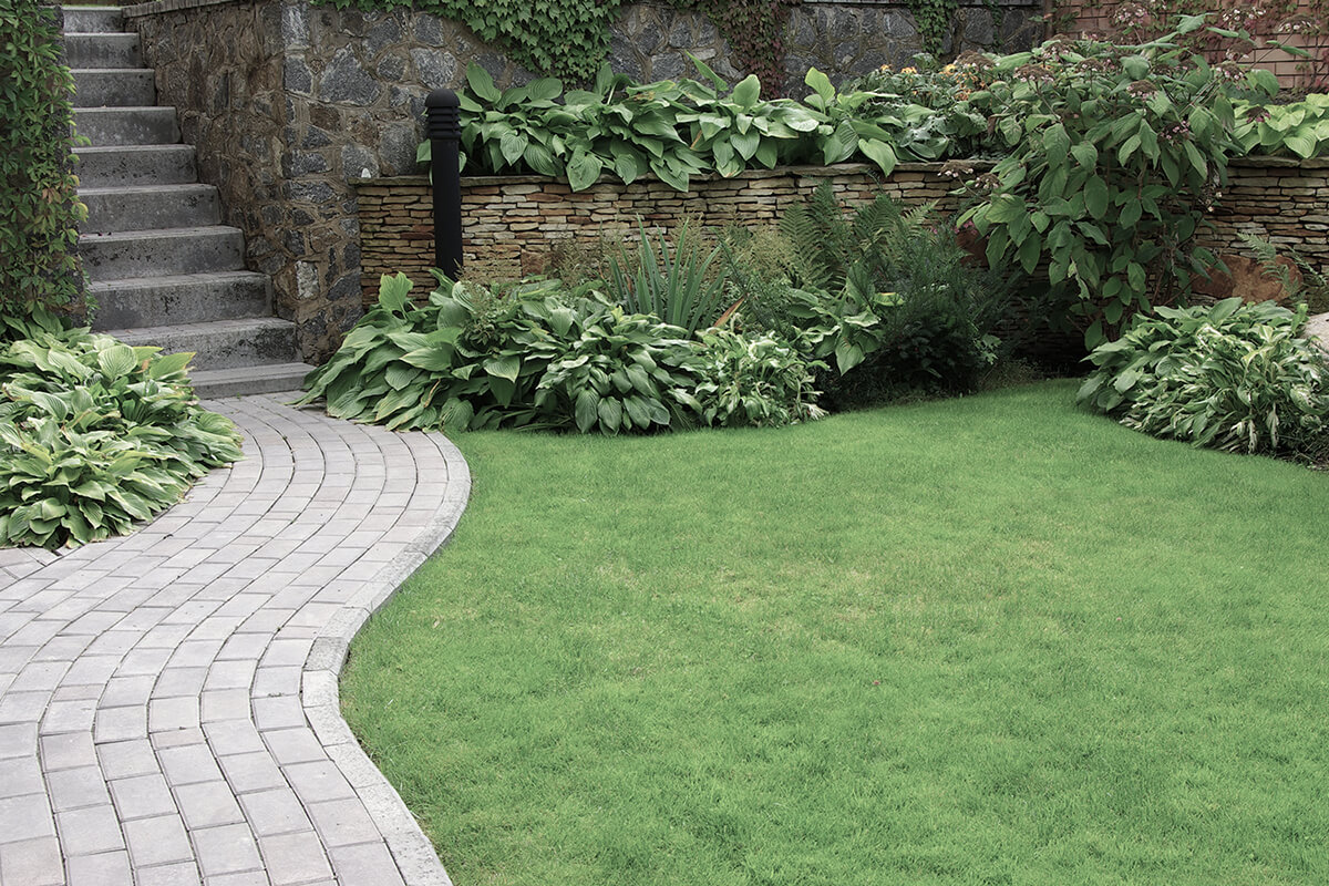 Welcome to City Landscaping